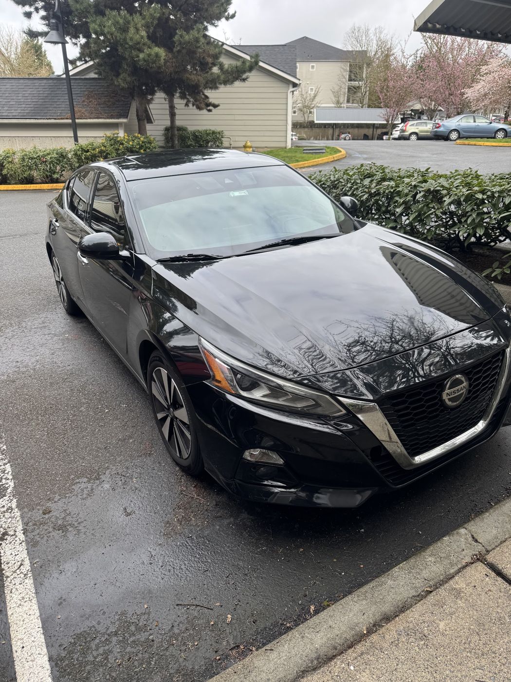 Glossy black Nissan Altima after an exterior detail