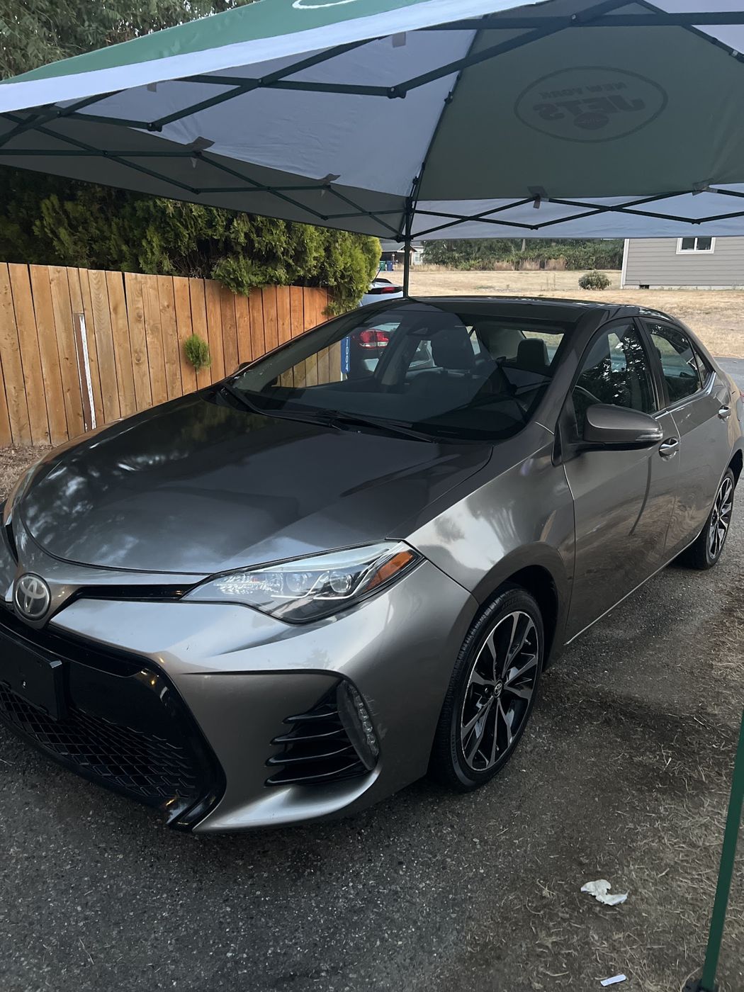 Grey Toyota Corolla under the Mariale canopy
